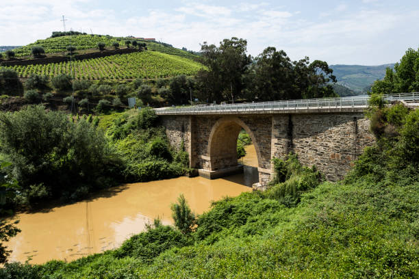 istock Torto River – The Bridge and the Muddy Water 1056530210