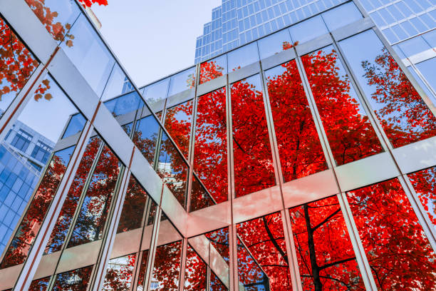 foglie autunnali che riflettono sull'edificio degli uffici - autumn beauty in nature beauty beautiful foto e immagini stock