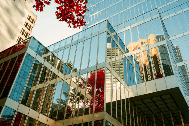 Autumn leaves reflecting on office building