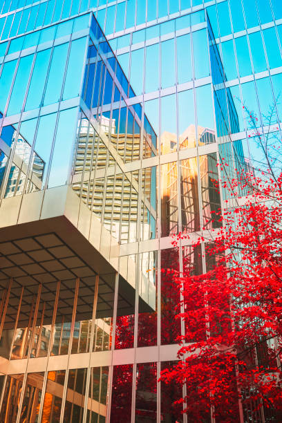 istock Autumn leaves reflecting on office building 1056532524