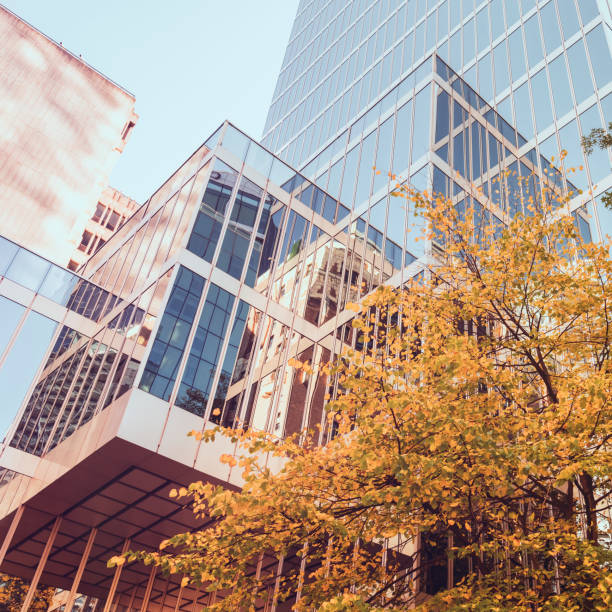 istock Autumn leaves reflecting on office building 1056534160