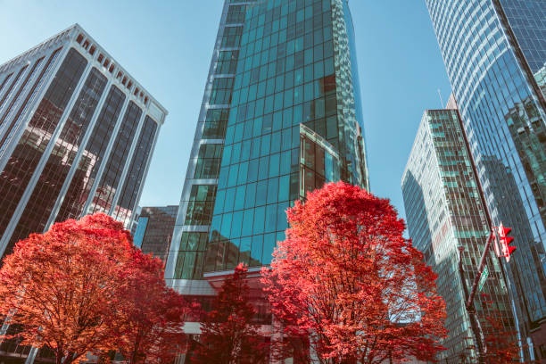 istock Autumn leaves reflecting on office building 1056534682