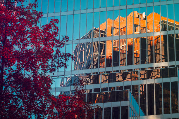 istock Autumn leaves reflecting on office building 1056535054