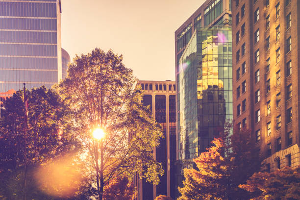 istock Autumn leaves reflecting on office building 1056535590