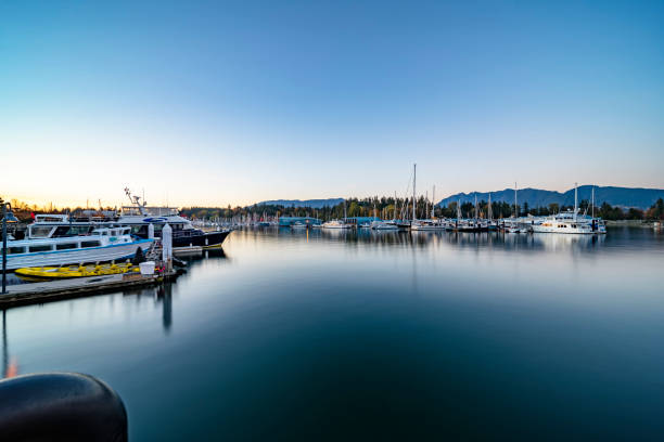 istock Luxury yachts moored at vancouver harbor 1056539014