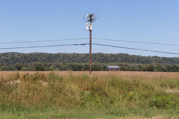 Forgotten barn at the back of an overgrown pasture with clear sky