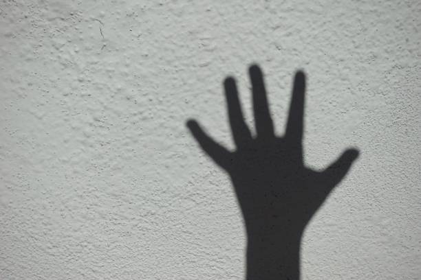 Girls making heart shape shadows with hands, and petting dog in shadows against wall