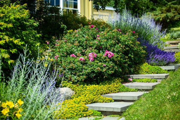istock Summer house flowerbed plants decoration with stairs 1056563846