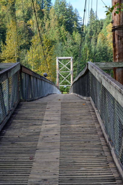 istock Wood Suspension Bridge 1056564434