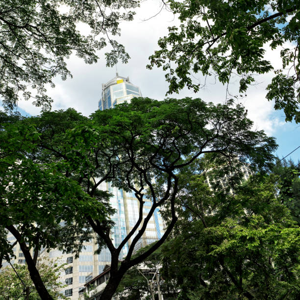 istock Tropical trees and office buildings in downtown Bangkok 1056566180