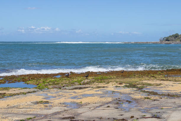 istock Rocky coastline with rock pools with creatures in them on a bright sunny day at the beach 1056576770
