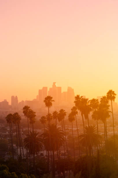 istock Los Angeles Palm Sunset 1056576898
