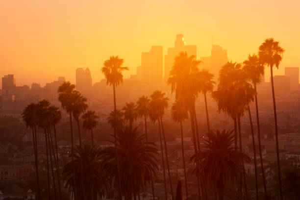 istock Los Angeles Palm Sunset 1056576956