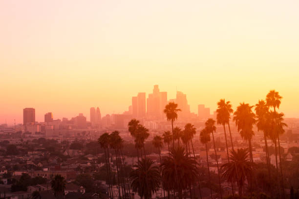 Los Angeles Palm Sunset Downtown Los Angeles skyline framed by palm trees at sunset. los angeles county stock pictures, royalty-free photos & images