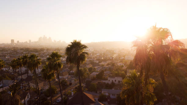 istock Los Angeles Palm Sunset 1056577672