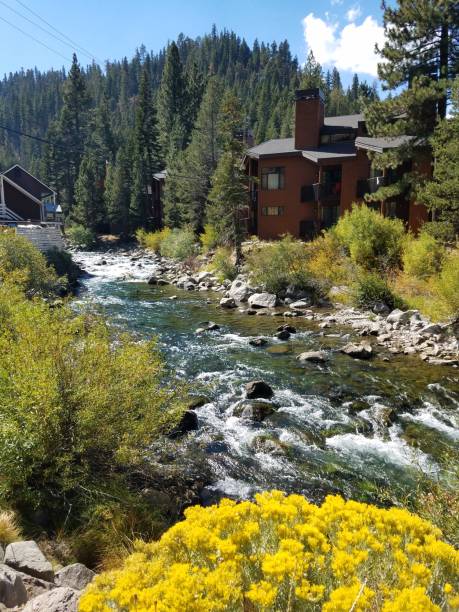 istock River in Lake Tahoe 1056584932
