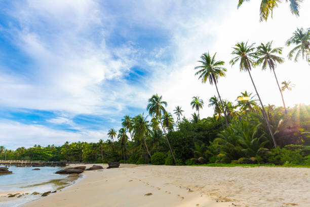 istock Paradise idyllic sea beach with coconut palm tree 1056594374
