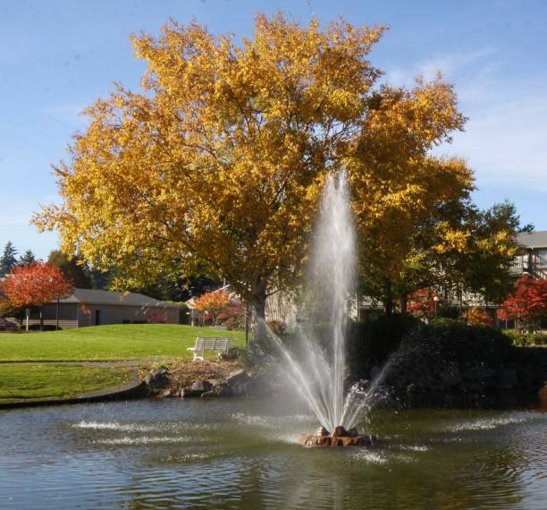 istock Park Fountain In The Fall 1056601158