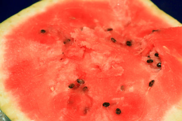 istock A fresh sugar red watermelon close up 1056601242