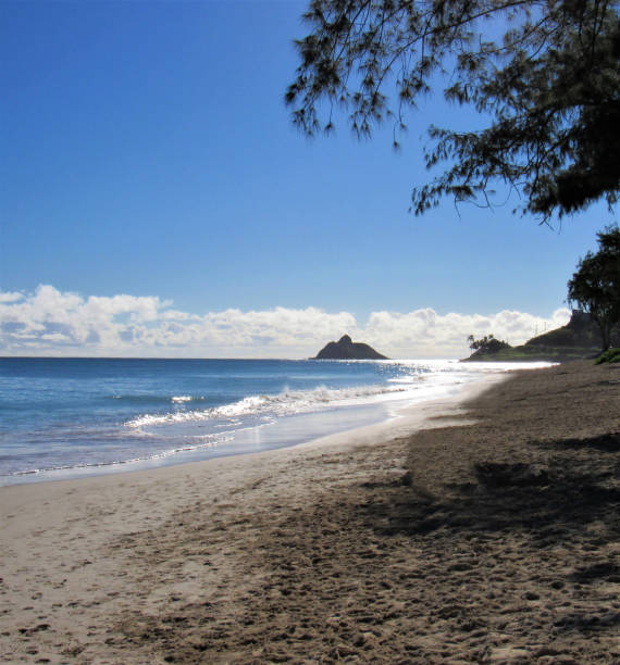 kailua beach, kailua, oahu hi.  una bellissima spiaggia lunga 2 km e mezzo si trova tra alala e kapoho points. identificato dalla rivista conde naste come la migliore spiaggia degli stati uniti.  confina con la lunghezza della baia di kailua. - kapoho foto e immagini stock