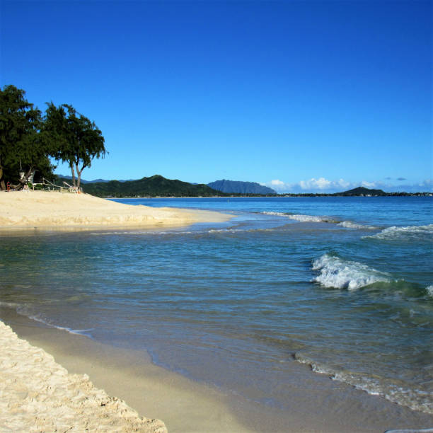kailua beach, kailua, oahu hi.  una bellissima spiaggia lunga 2 km e mezzo si trova tra alala e kapoho points. identificato dalla rivista conde naste come la migliore spiaggia degli stati uniti.  confina con la lunghezza della baia di kailua. - kapoho foto e immagini stock