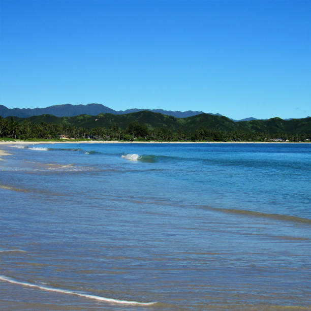 kailua beach, kailua, oahu hi.  una bellissima spiaggia lunga 2 km e mezzo si trova tra alala e kapoho points. identificato dalla rivista conde naste come la migliore spiaggia degli stati uniti.  confina con la lunghezza della baia di kailua. - kapoho foto e immagini stock