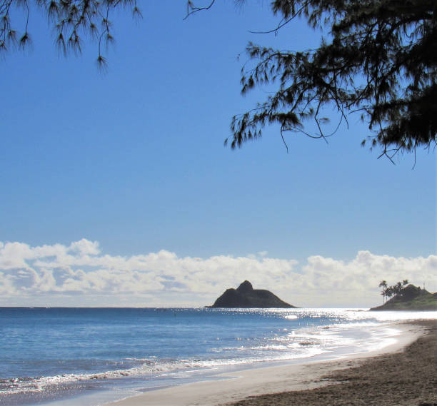 playa de kailua, kailua, hi de oahu.  una hermosa playa de 2 1/2 millas de largo, se encuentra entre alala y kapoho puntos. identificado por conde naste revista como la mejor playa de estados unidos.  limita la longitud de la bahía de kailua. - kapoho fotografías e imágenes de stock