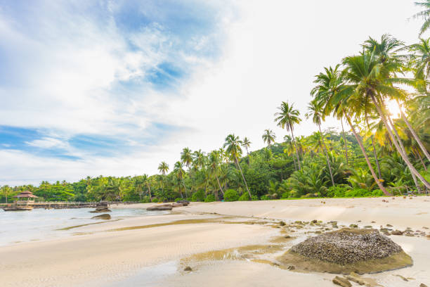 istock Paradise idyllic sea beach with coconut palm tree 1056607514
