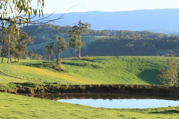 istock Green rolling landscape in Gippsland Australia 1056607682