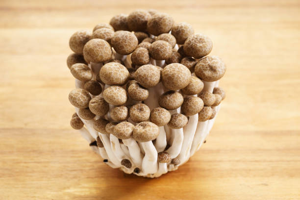 istock Brown mushroom on wooden background 1056608464