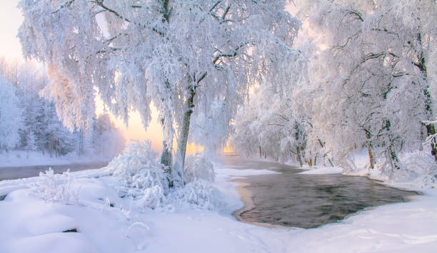 フィンランドのクフモから雪に覆われた川の眺め。 - tranquil scene tree sunset snow ストックフォトと画像