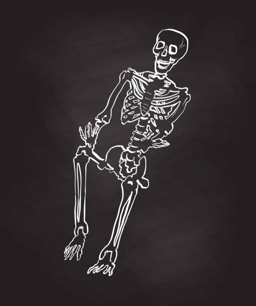 LastBreathHospital Sitting chalkboard skeleton of a human body drawing of rib cage anatomy stock illustrations