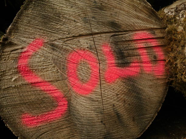 istock Pink Sold Sign on Wood 1056626224