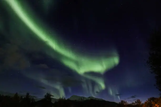 Northernlights on the 7th of October over Evenskjer, Troms