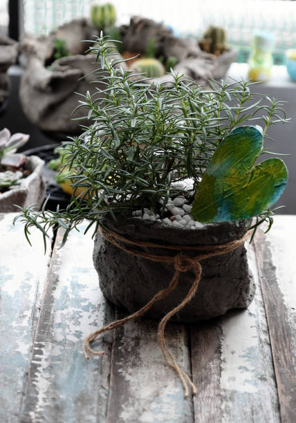 istock Rosemary pot with heart 1056628030