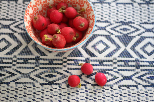 istock Tasty radishes 1056628244