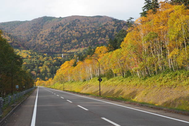 colorful autumn in Hokkaido Route 273 is a good location to enjoy colorful autumn in Hokkaido. mikuni pass stock pictures, royalty-free photos & images