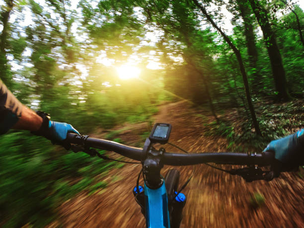 punkt widzenia pov rower górski szybka jazda w lesie - personal perspective mountain biking mountain bike cycling zdjęcia i obrazy z banku zdjęć