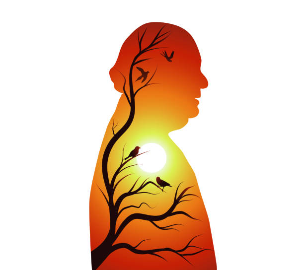 ilustraciones, imágenes clip art, dibujos animados e iconos de stock de concepto de demencia senil - alzheimer. silueta de perfil senior con puesta de sol o sol - sol - ramas y pájaros - people silhouette aging process tree