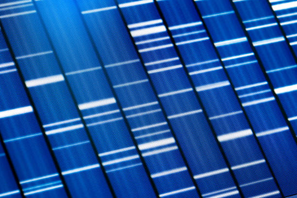 DNA Sequence Gel DNA Sequence Gel. Photography of computer monitor. dna sequencing gel stock pictures, royalty-free photos & images