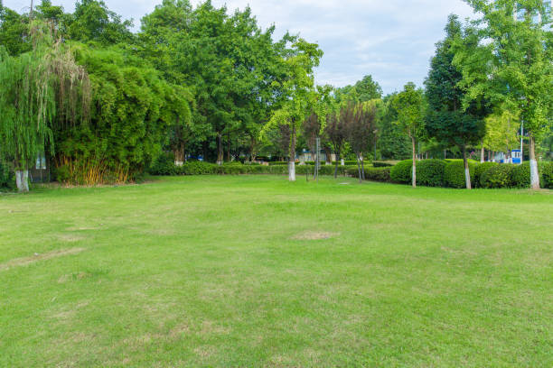 istock City park at sunset 1056644464