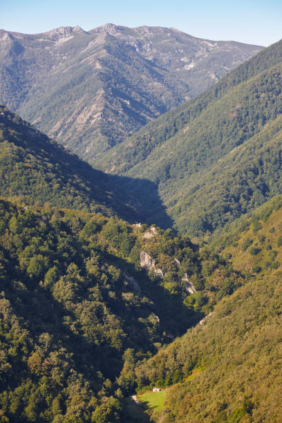 istock Oak tree forest landscape in Asturias. Muniellos viewpoint 1056649274