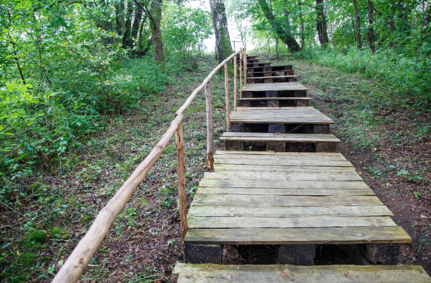 istock wooden staircase in the forest 1056651120