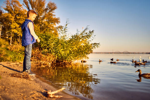 istock Happy teen feeding ducks in the river 1056651166