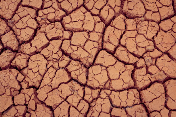 istock Crack earth/Crack soil on dry season/Global worming effect 1056655284