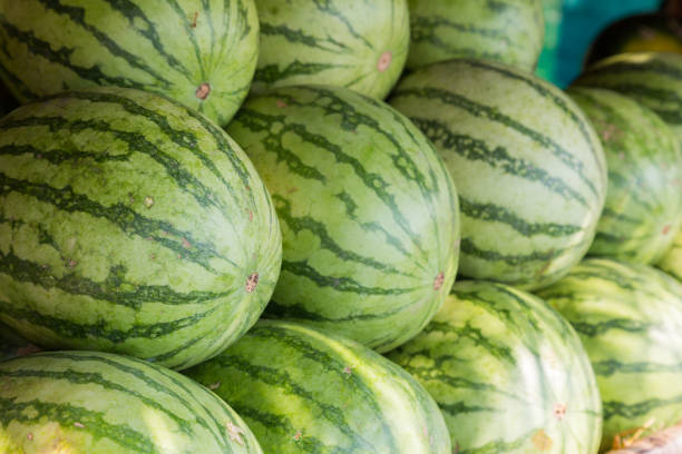 istock Fresh sweet green watermelons 1056655386