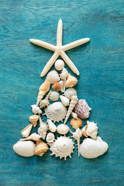 istock Christmas tree made from sea shells and starfish on wooden blue background, top view 1056657844