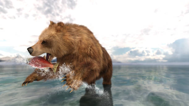 Bear Catching Salmon 3D render of a bear catching Salmon brown bear catching salmon stock pictures, royalty-free photos & images