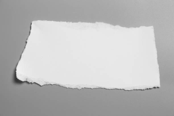 istock white torn paper on gray background. collection paper rip 1056660352