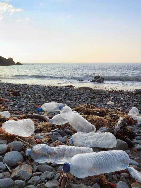 Plastic bottles washed on the Atlantic shoreline or beach polluting the environment in northern Spain stock photo